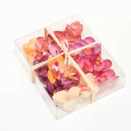 boite 18 fleurs PHALAENOPSIS