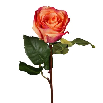 ROSE ouverte artificielle  52 cm