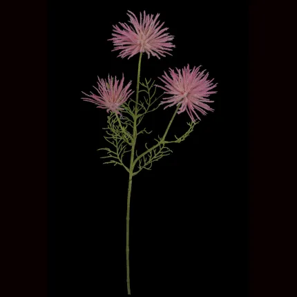 Akène d' ANEMONE artificielle 65 cm rose