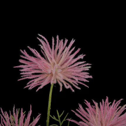 Akène d' ANEMONE artificielle 65 cm rose - fleurs