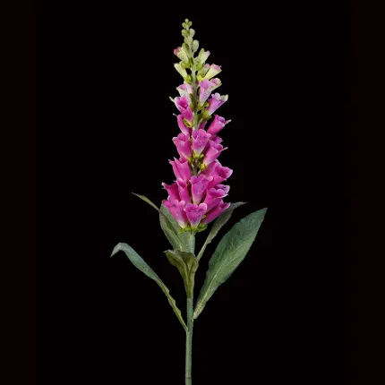 DIGITALE artificielle 90 cm