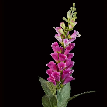 fleurs DIGITALE artificielle 90 cm