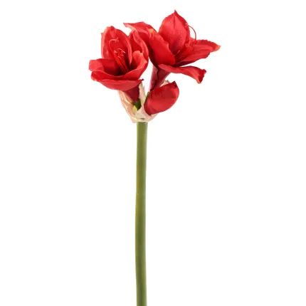 AMARYLLIS artificiel 75 cm
