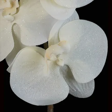Orchidée PHALAENOPSIS artificielle pailletée 73 cm - fleurs