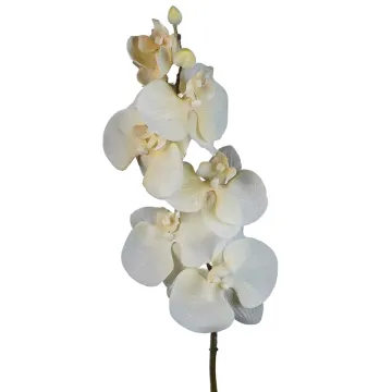 Orchidée PHALAENOPSIS artificielle pailletée 73 cm fond blanc