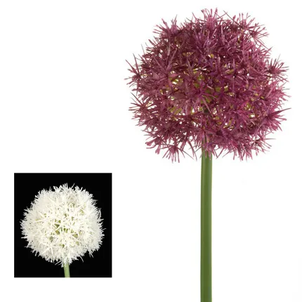 ALLIUM artificiel 67 cm