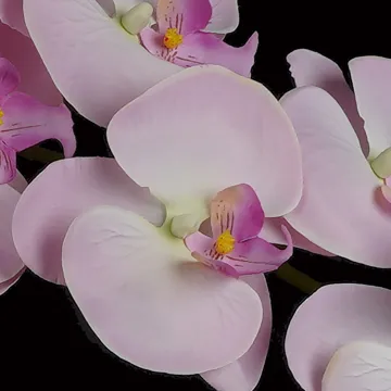 ORCHIDEE artificielle 120 cm retombante - fleuron