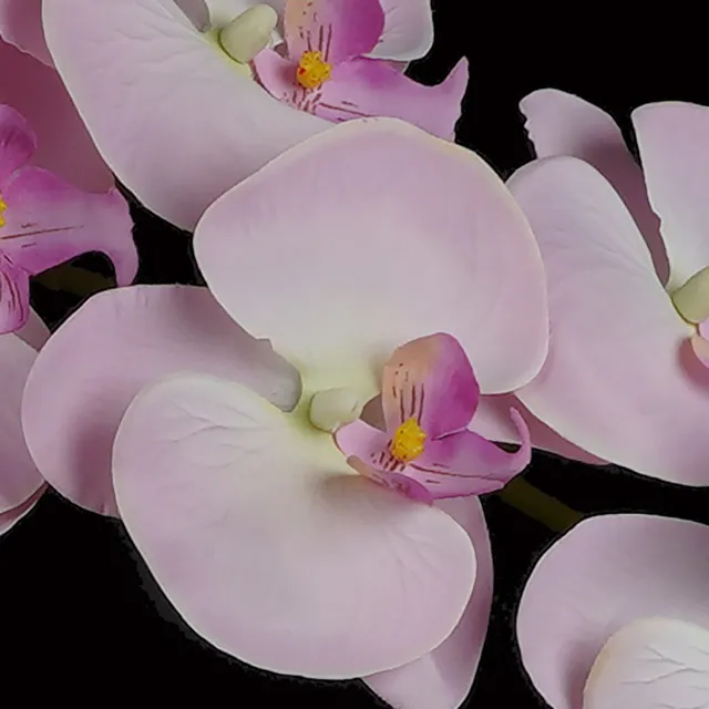 Orchidées Phalaenopsis Artificielles Fleurs Blanches 31Cm De Hauteur Orchidées Phalaenopsis Artificielles Fleurs Blanches 31Cm De Hauteur
