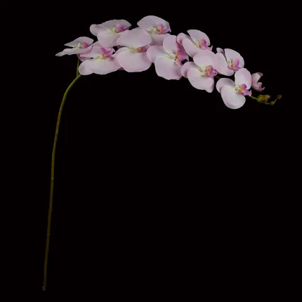 ORCHIDEE artificielle 120 cm retombante - en tige