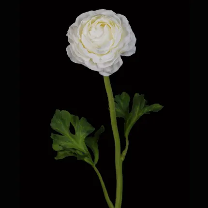 RENONCULE artificielle  46 cm crème