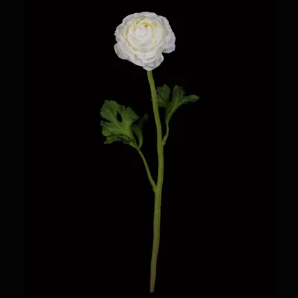 RENONCULE artificielle  46 cm crème en tige
