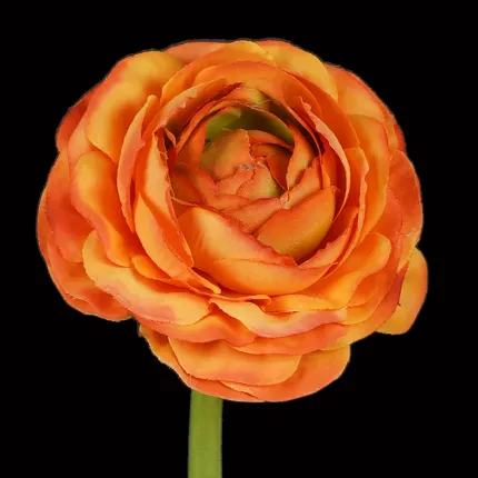 RENONCULE artificielle  46 cm orange - fleur