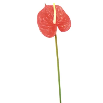 ANTHURIUM artificiel 58 cm en tige
