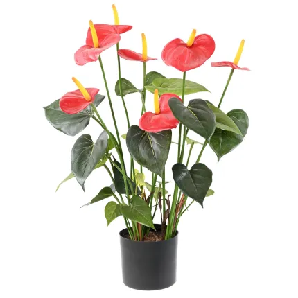 Anthurium artificiel H50cm