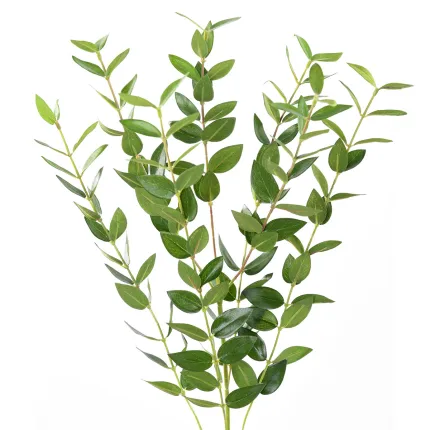 branche artificielle EUCALYPTUS 60 cm