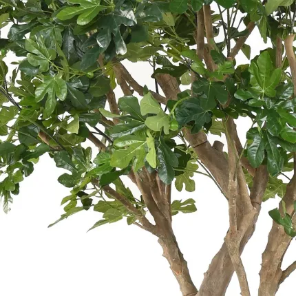 FIGUIER artificiel géant 250 cm avec figues - feuilles et figues