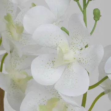 Orchidée artificielle Vanda blanche - détail des fleurons