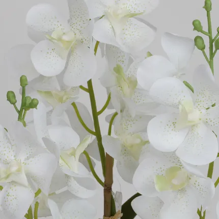 Fausse Orchidée Vanda blanche - détail des fleurons