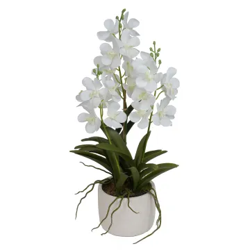 composition ORCHIDEE artificielle Vanda 60 cm blanche