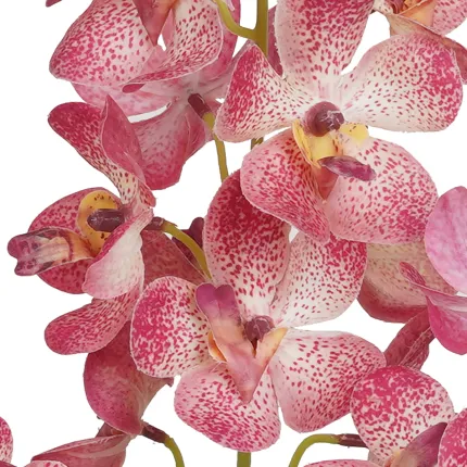 Orchidée artificielle Vanda rose - détails fleurons