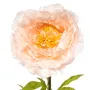 PIVOINE Géante artificielle 115 cm pèche - détails
