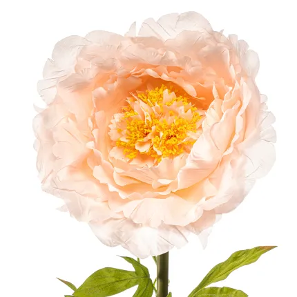 PIVOINE Géante artificielle 115 cm pèche - détails