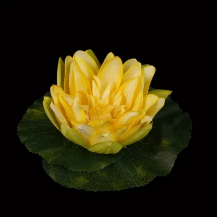 Nénuphar flottant diamètre 16 cm jaune