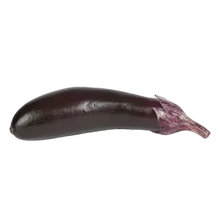 Fausse AUBERGINE 19 cm - de face