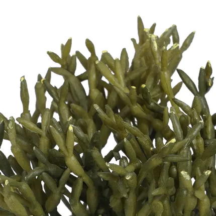 Succulente artificielle sur fausse rocaille 14 cm - crassula artificiel en détails