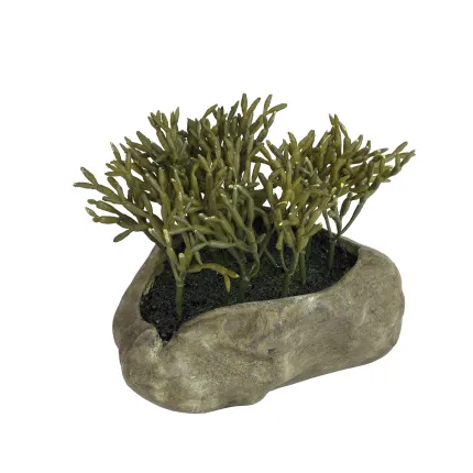 Succulente artificielle sur fausse rocaille 14 cm - crassula artificiel
