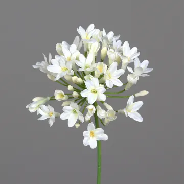 AGAPANTHE artificiel  75 cm blanc - détails