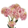 SEDUM artificiel 55 cm rose - tête