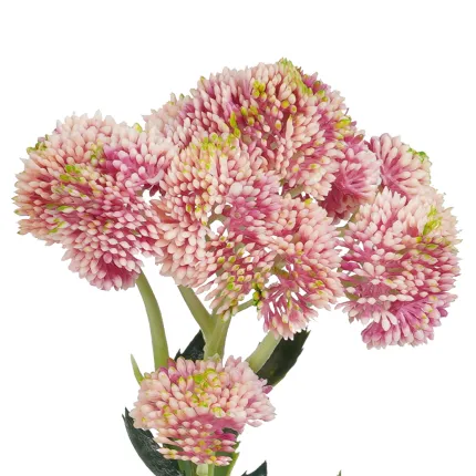 SEDUM artificiel 55 cm rose - tête