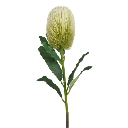 PROTEA artificiel 65 cm