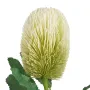 PROTEA artificiel 65 cm - fleur