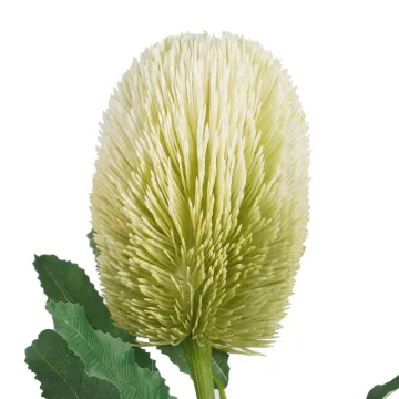 PROTEA artificiel 65 cm - fleur