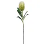 PROTEA artificiel 65 cm en tige