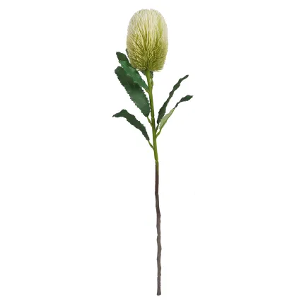 PROTEA artificiel 65 cm en tige
