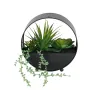 composition SUCCULENTE artificielle 20 cm dans coupe noir zinc