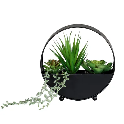 composition SUCCULENTE artificielle 20 cm dans coupe noir zinc - de face