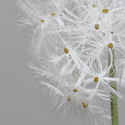 DANDELION ARTIFICIEL 73cm - détail du capitule