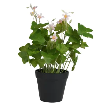 TREFLE OXALIS artificiel fleuri en pot 36 cm vert