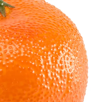 MANDARINE artificielle 7 cm - détails