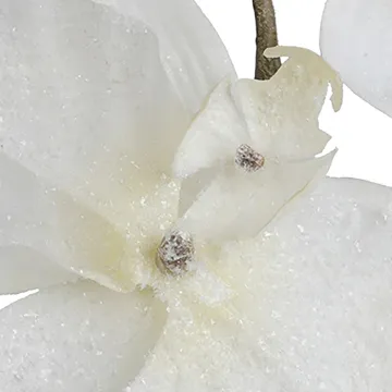 Orchidée PHALAENOPSIS artificielle givrée 72 cm- détail
