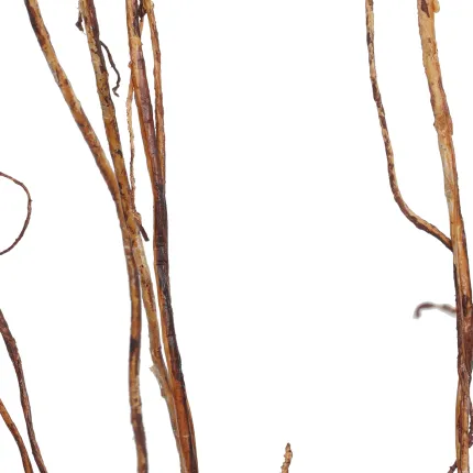 liane artificielle multi 180 cm - détails