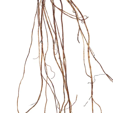 liane artificielle multi 180 cm - brins