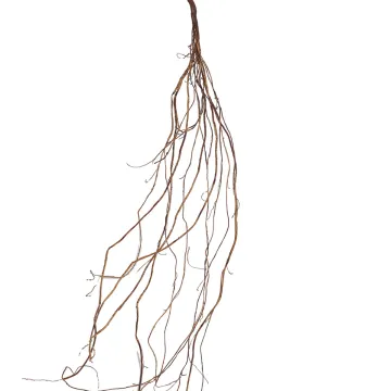 liane artificielle multi 180 cm