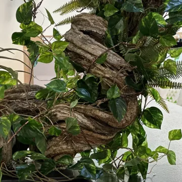 guirlande POTHOS artificiel 180 cm - en situation