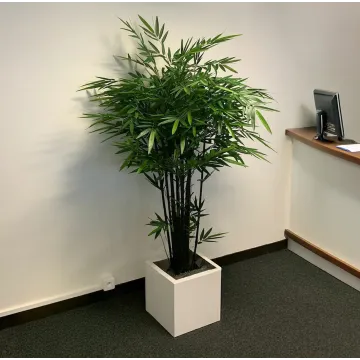 BAMBOU artificiel BLACK NATURAL  - en situation banque d'accueil