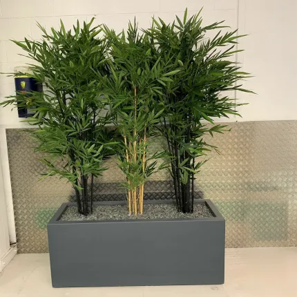 BAMBOU artificiel BLACK New - en situation dans un couloir